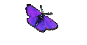 E-Heitzmann
